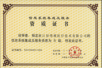 信息系統集成服務聯合聲明項目框架